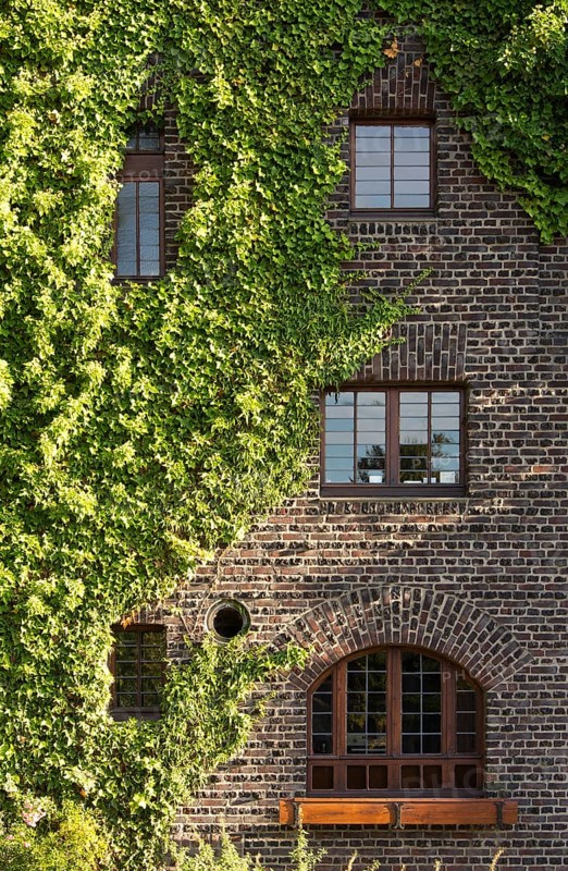 Residence for Heinrich Campendonck, built by Karl Buschhüter in 1922, north side, detail of window with archway