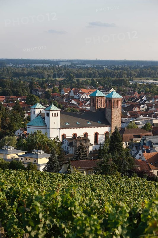 Built in 1830 by Georg Moller, rebuilt 1949-1953, view from the Kirchberg, Abends, St., Sankt, Saint