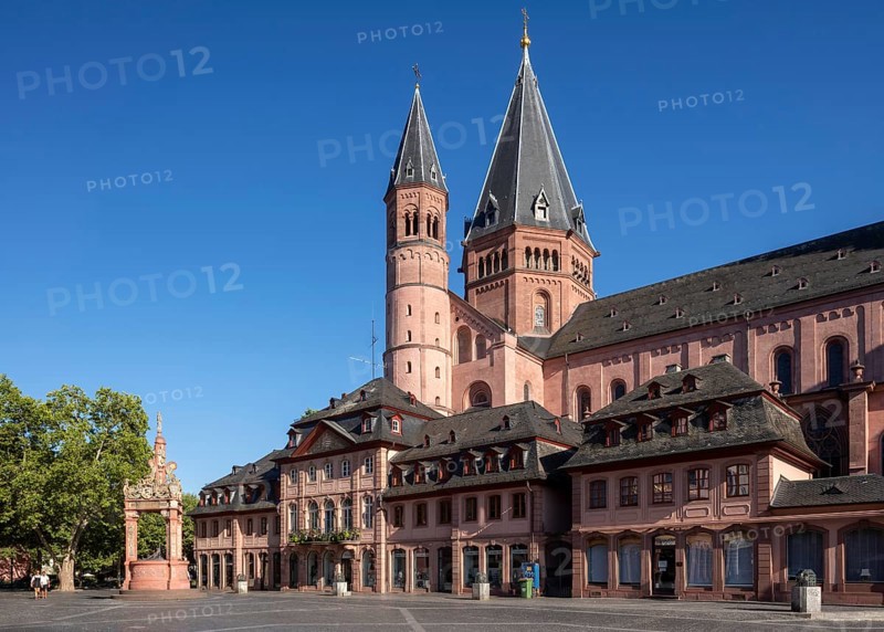 Mainz, St Martin's Cathedral, north side with baroque houses and market fountain