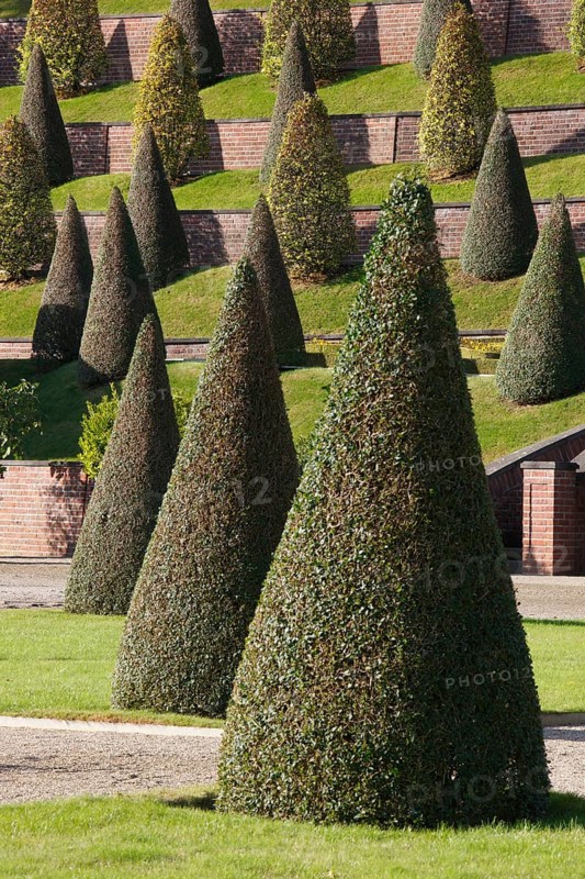 Terraced garden, view of the terraces from the south