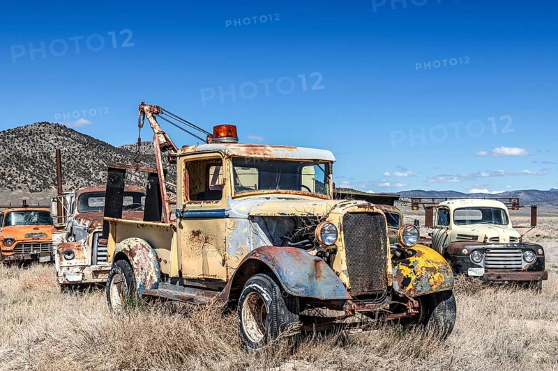 Junkyard with classic cars, Ely, Nevada, USA, North America