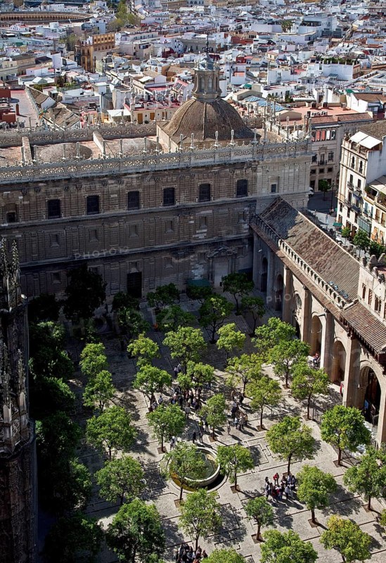 Seville, Orange Courtyard above the baroque church of El Sagrario, St., Saint, Saint