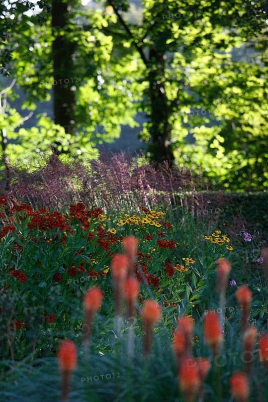 Moyland, Castle Park