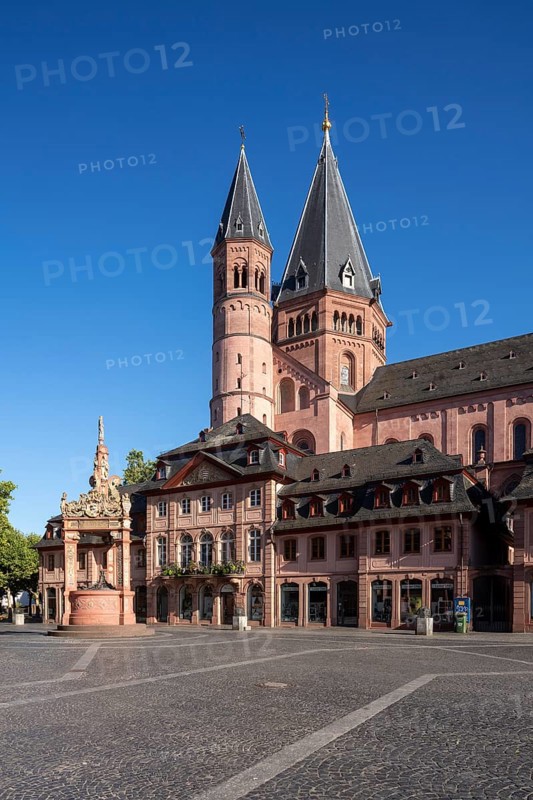 Mainz, St Martin's Cathedral, north side with baroque houses and market fountain