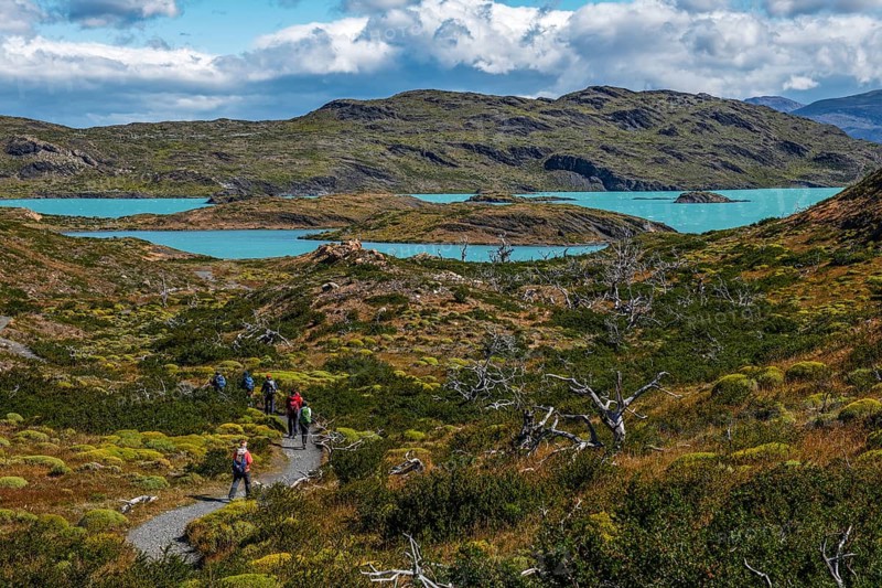 Trekker in front of Lagunas Melizas, Torres del Paine National Park, Patagonia, Chile, South America