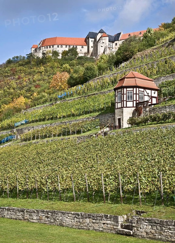 Freyburg/Unstrut, Neuenburg Castle and ducal vineyard