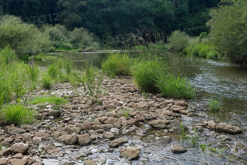 Low water level in the Kocher valley near Braunsbach, climate impact, climate change, gravel bank, Kocher, river, ecology, dryness, summer, drought, Germany, Europe