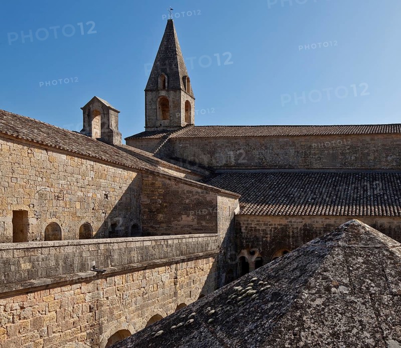 Cistercian monastery founded in 1146, cloistered east wing on the left, church at the back and hexagonal pyramid roof of the well house at the front, St., Sankt, Saint