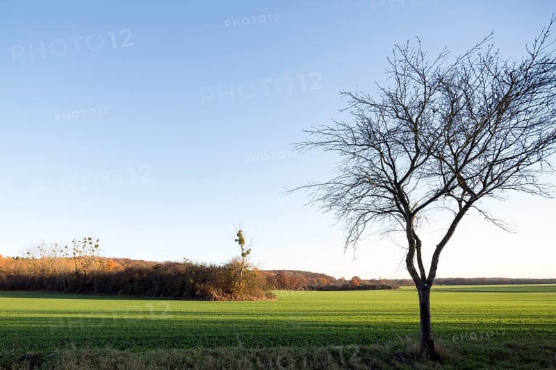 Erftstadt, Bliesheimer Feld and Altwald Ville