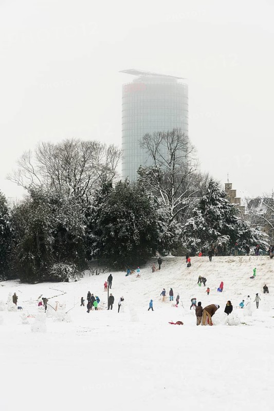Düsseldorf, Hofgarten in the snow with tobogganists