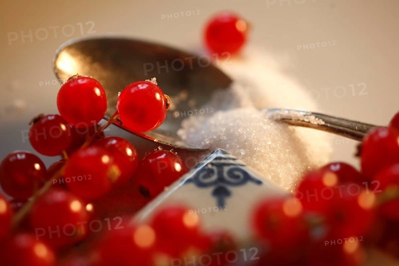 Red currant, (Ribes rubrum) or garden currant, Red currant with sugar, Redcurrant, gooseberry family Grossulariaceae