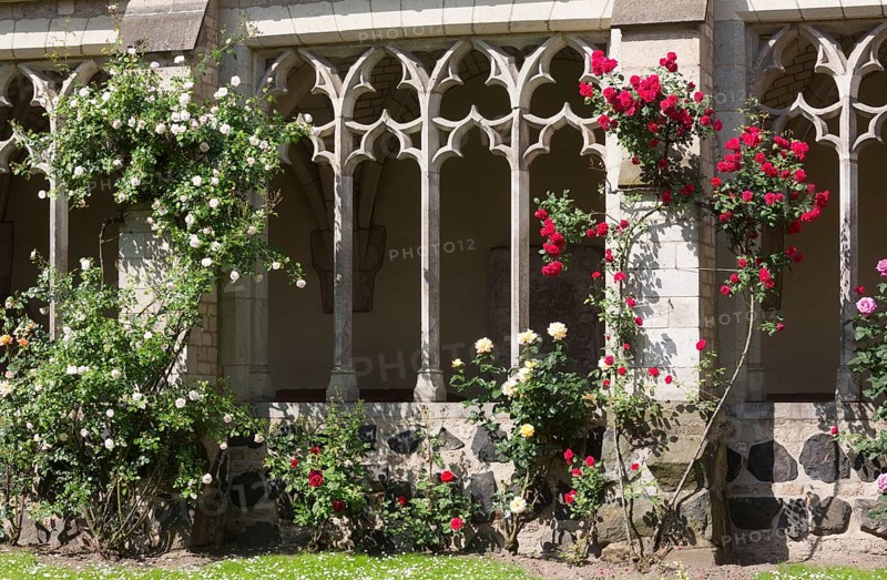 Cloister with roses, St., Saint, Saint