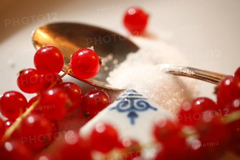 Red currant, (Ribes rubrum) or garden currant, Red currant with sugar, Redcurrant, gooseberry family Grossulariaceae