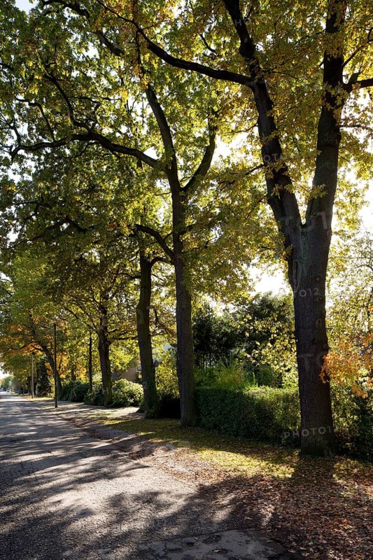 Krefeld, Kliedbruchstraße in front of the expansion in 2012