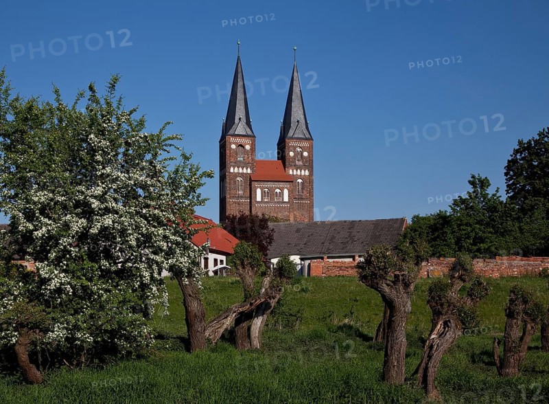 Towers seen from the west from the Elbe floodplain, in front pollarded willows, St., Sankt, Saint