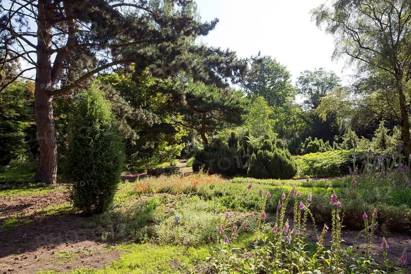 Cologne, Flora and Botanical Garden