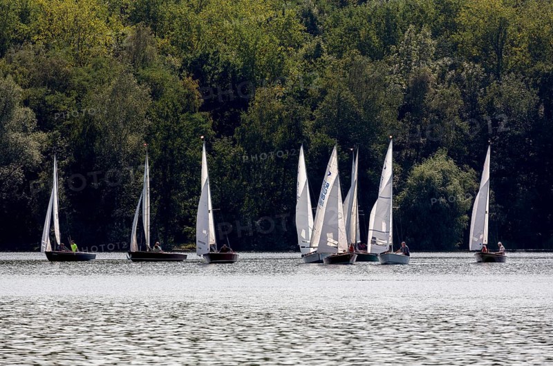 Sailing regatta of the SCV Segelclub Ville, Zugvogel, Schwertzugvogel