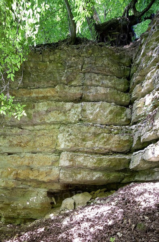 Medieval Kapfelberg quarry, Teugn, stones were quarried here in the Middle Ages for building the cathedral, horizontal stratification and traces of quarrying