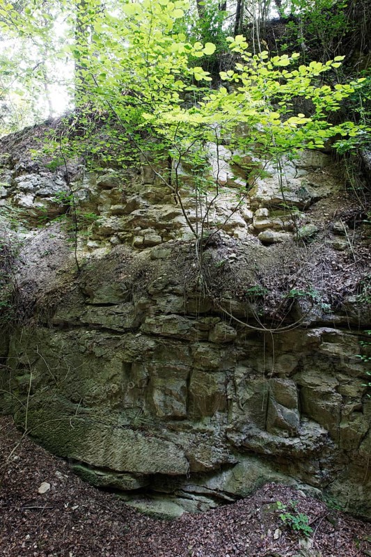 Medieval Kapfelberg quarry, Teugn, where stones were quarried for cathedral construction in the Middle Ages
