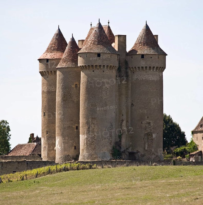 Sarzay, Château de Sarzay
