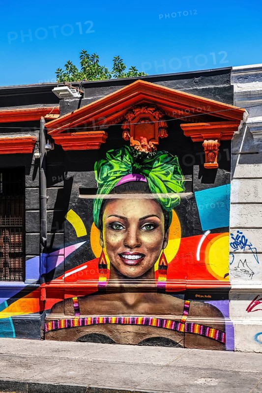 Graffiti art in the Bellavista neighbourhood, Santiago de Chile, Chile, South America