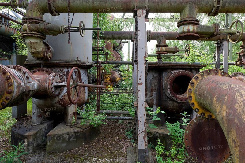 Pipes and vegetation, nature and technology
