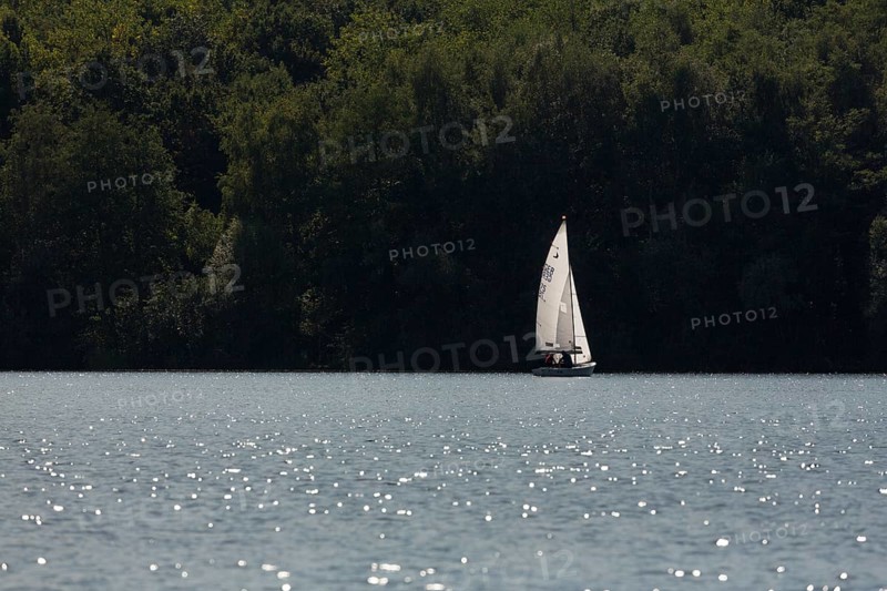 Sailing regatta of the SCV Segelclub Ville, Zugvogel, Schwertzugvogel