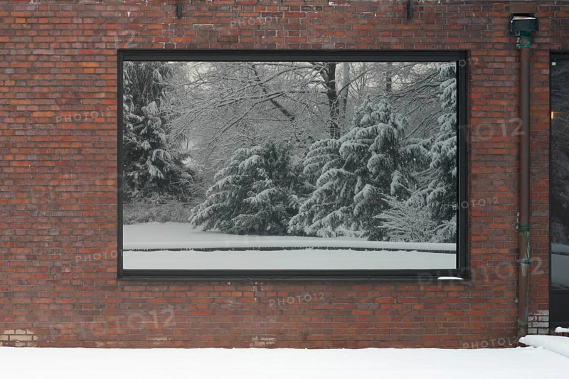 Built between 1928 and 1930 by Ludwig Mies van der Rohe as a residential building, garden side, windows with mirrored garden