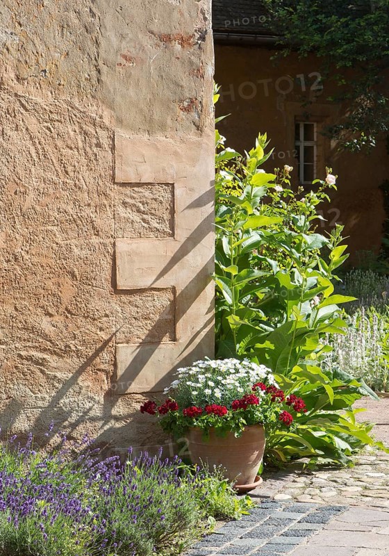 Herb garden between Abthaus and Infirmerie