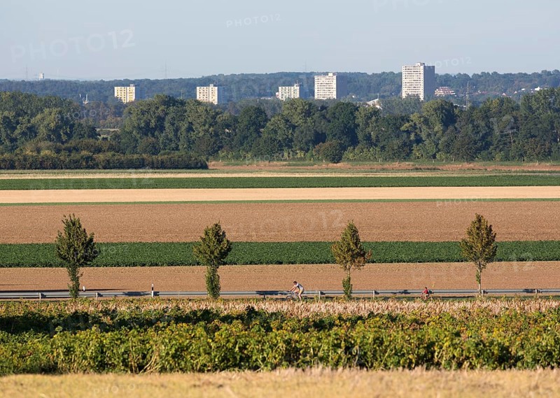 Erftstadt, view from the Römerstraße near Friesheim to the tower blocks in Liblar
