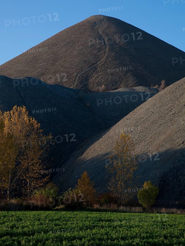 Copper slate mining spoil heap near Polleben