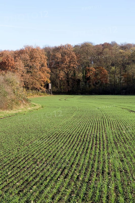 Erftstadt, Bliesheimer Feld and Altwald Ville