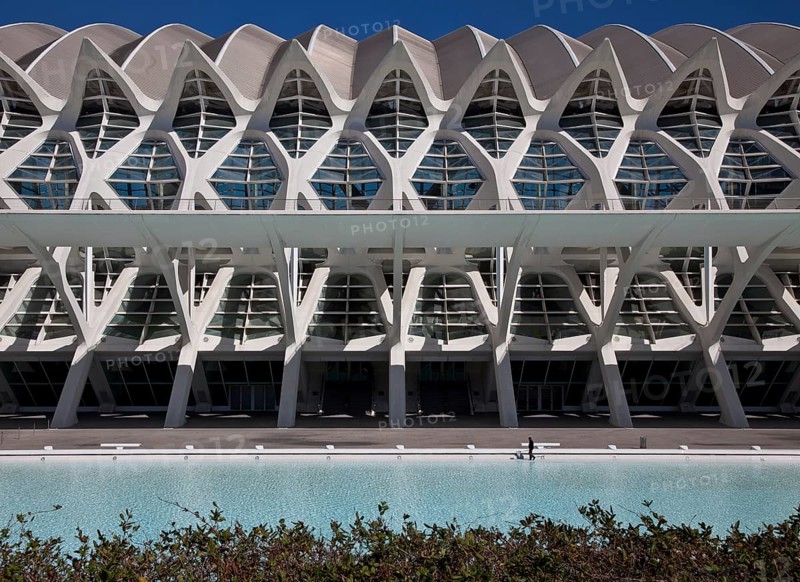 City of Arts and Sciences (cat./val. Ciutat de les Arts i de les Ciències), MUSEO DE LAS CIENCIAS, decorative concrete structure in front of the south-western longitudinal façade