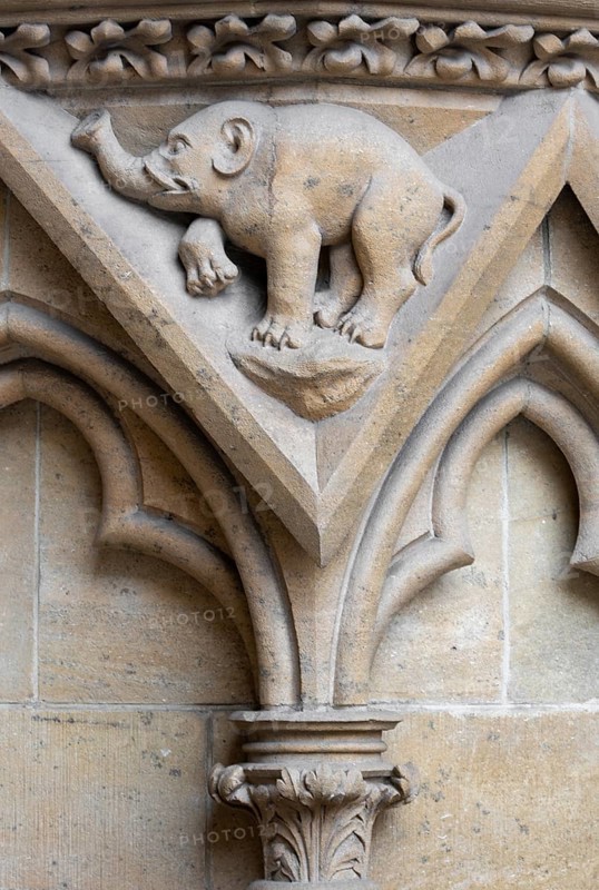 Metz, Saint-Étienne Cathedral, Portal of the Virgin, Portail de la Vierge ou Notre-Dame / Portal of the Virgin, Elephant