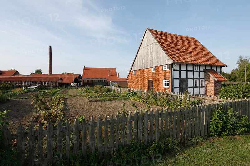 Entire property with cottage and vegetable garden
