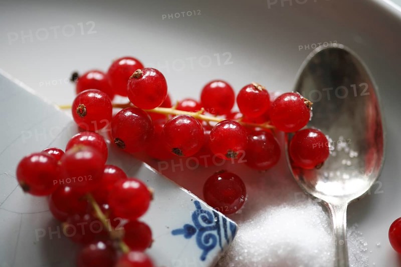 Red currant, (Ribes rubrum) or garden currant, Red currant with sugar, Redcurrant, gooseberry family Grossulariaceae