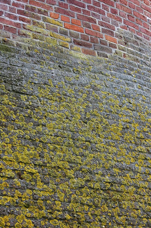 Moyland, castle park in spring