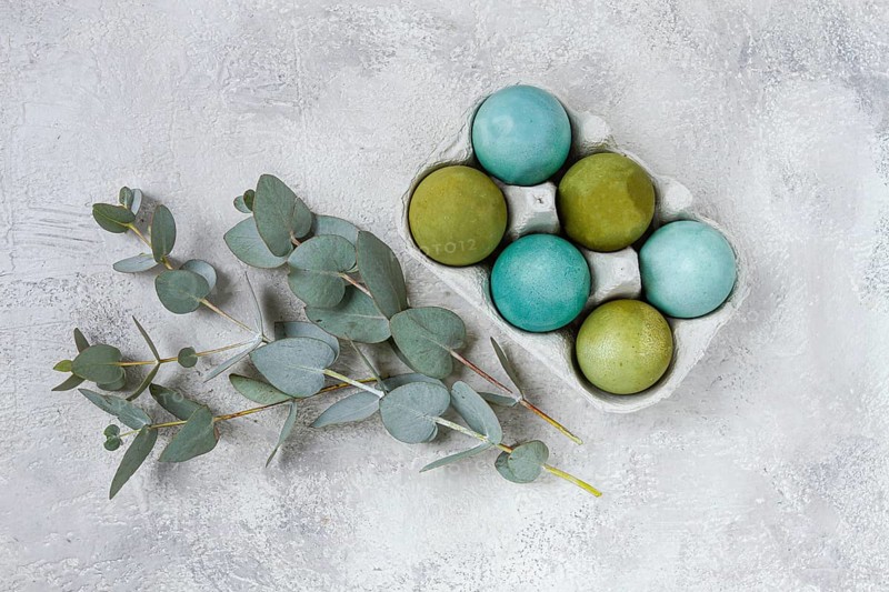 Easter colored eggs, in green and turquoise tones, with eucalyptus leaves, Easter card, top view, no people
