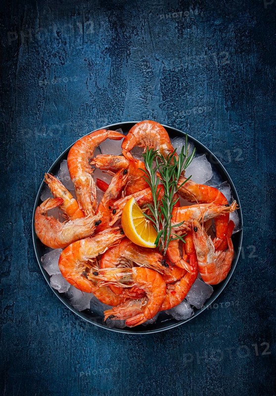 Freshly frozen shrimp on ice, with lemon and rosemary, on a dark blue table, top view, no people