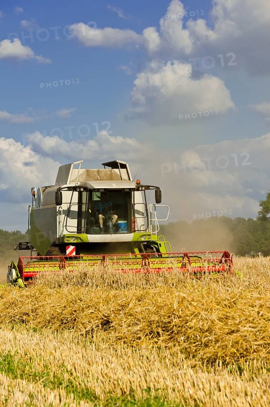 Combine harvester