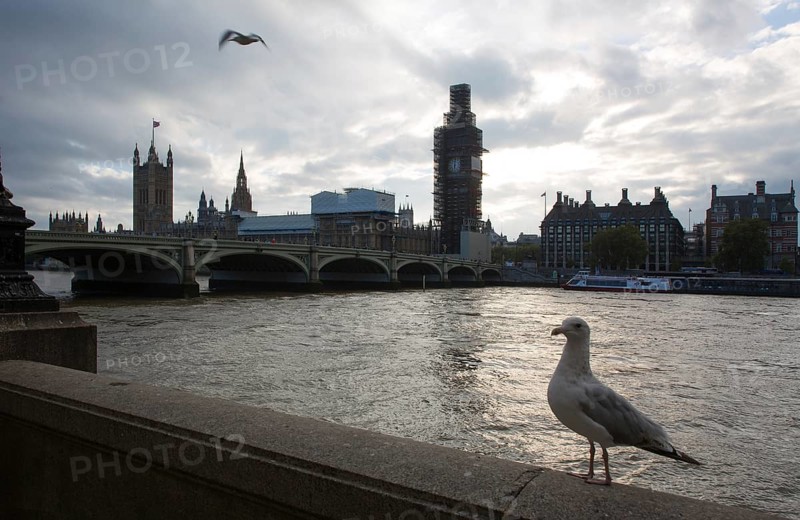 London, view from northeast over the Thames to Westminster Bridge behind the parliament building clock tower Big Ben scaffolded