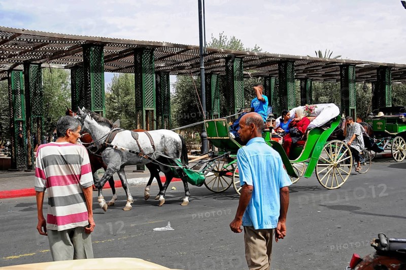 UNESCO World Heritage Site, Marrakech, Morocco, Carriage with horses travelling on a busy city street, Marrakech, UNESCO World Heritage Site, Marrakech, Morocco, Africa