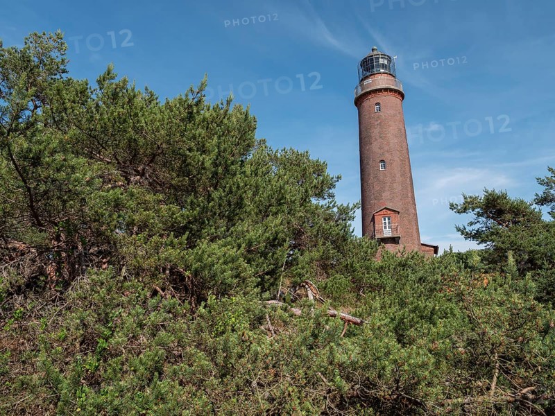 Brick lighthouse rises out of a dense forest with a clear sky, zingst, mecklenburg-vorpommern, germany