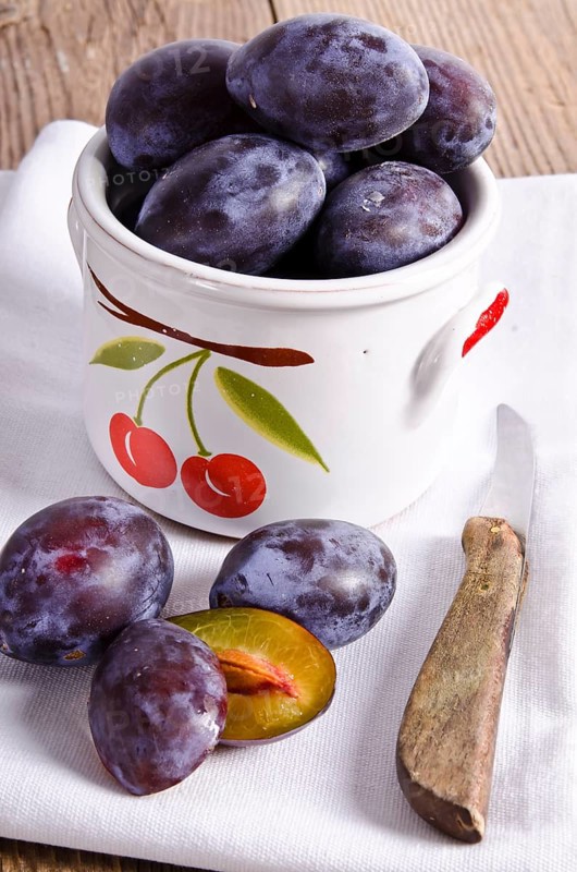 Prunus domestica