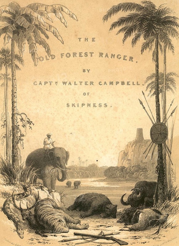 Hunting & animal views, the old forest ranger, India, Asia
