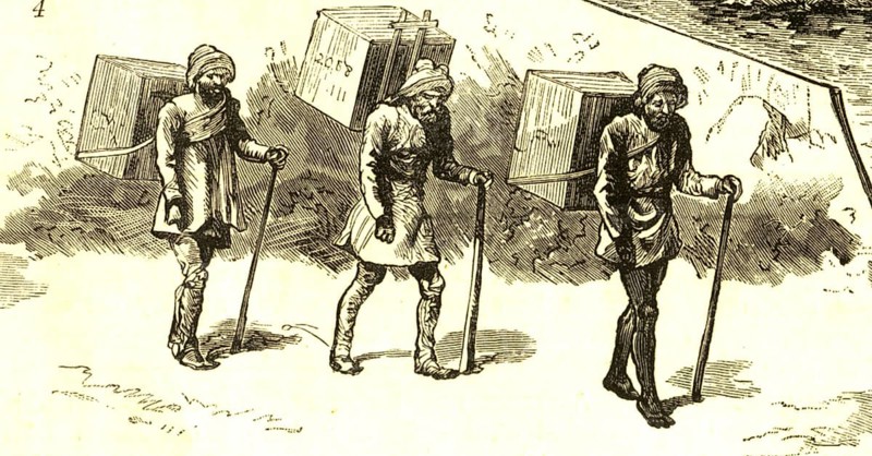 Coolies carrying tea, India, Asia