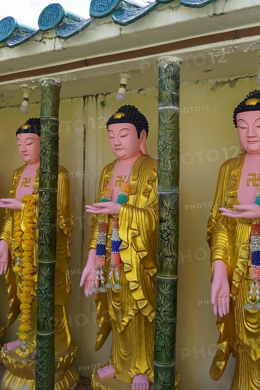 Row of gold-coloured buddha statues in a temple area, penang, malaysia