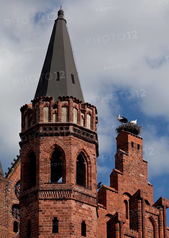 Tangermünde Elbe town hall around 1430 by Hinrich Brunsberg begun restored M 19th century v F A Stüler roof zone from the west 74872 in the foreground stair tower from 1849