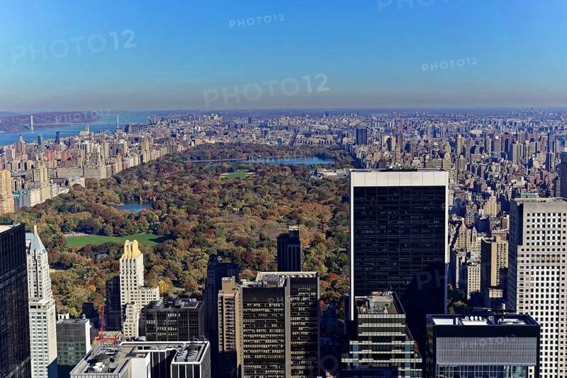 Rockefeller Center observation deck, View of skyscrapers in front of Central Park with autumn trees under a clear blue sky, Manhattan, New York City, New York, USA, North America, An expansive municipal park with colourful autumn leaves surrounded by imposing buildings under a clear sky, North America
