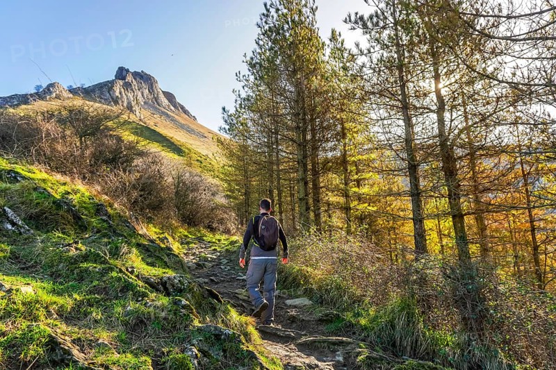 Male hiker walking a rocky path through pine trees on the slopes of mount txindoki in gipuzkoa, basque country, spain, on a sunny autumn day